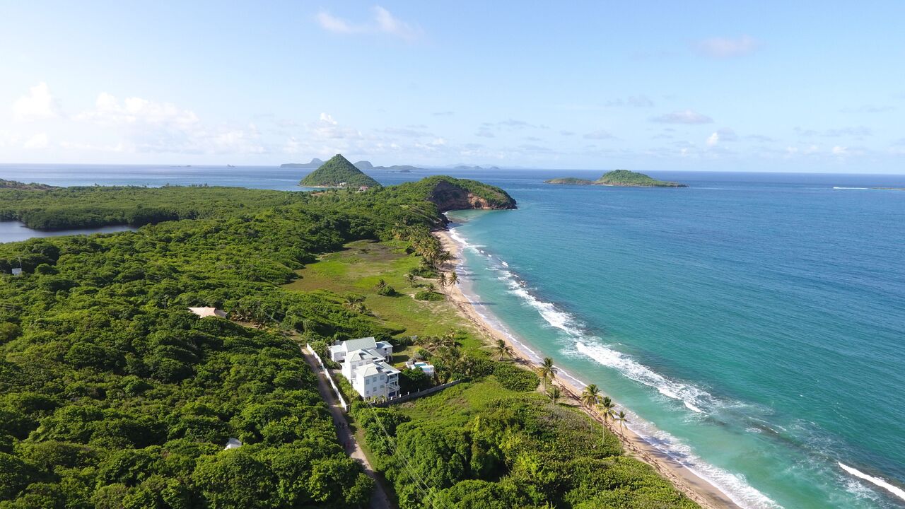 Moonfish from Above islands