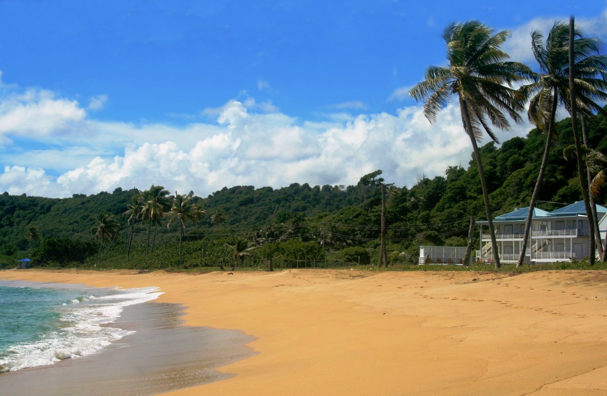 Bathway beach with Moonfish