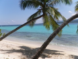 Sandy Island Snorkel trip from Moonfish Villas